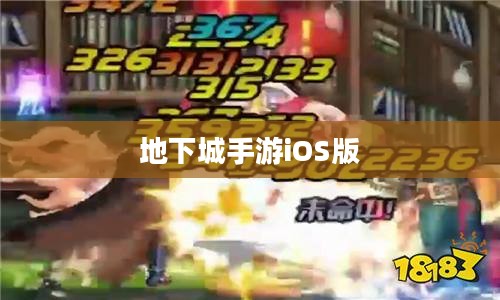 玩转地下城手游iOS版，攻略秘籍与技巧分享