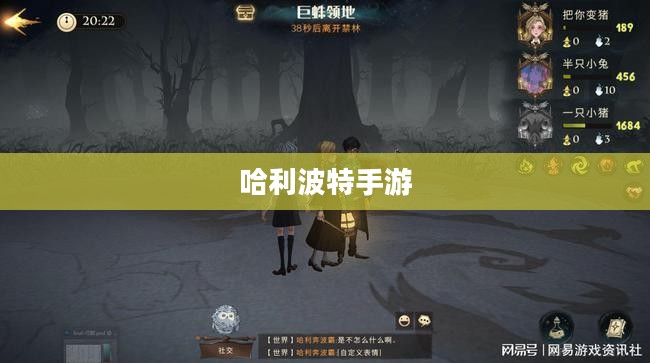 哈利波特手游，删号重玩的诱惑与挑战