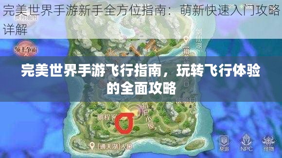 完美世界手游飞行指南，玩转飞行体验的全面攻略