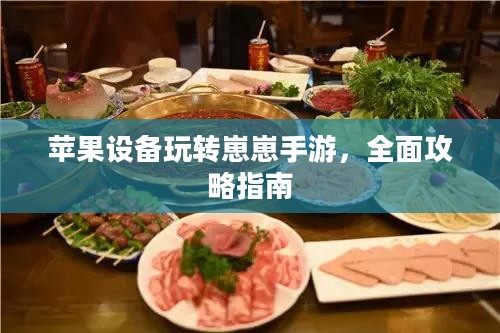 苹果设备玩转崽崽手游，全面攻略指南