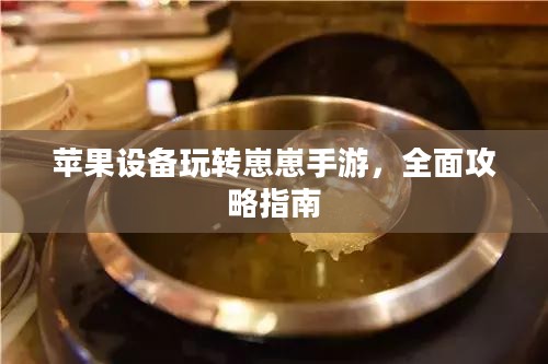 苹果设备玩转崽崽手游,全面攻略指南 苹果设备玩转崽崽手游,全面攻略指南