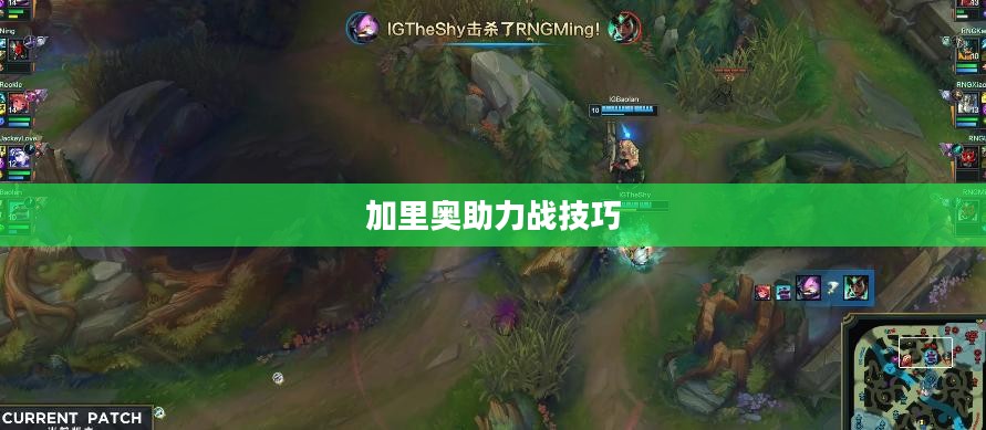 手游加里奥支援攻略，玩转英雄之道之加里奥助力战技巧