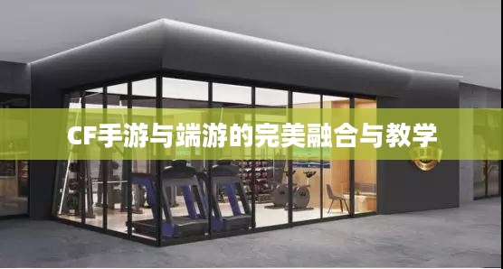 餐饮老师跨界游戏，CF手游与端游的完美融合与教学新篇章