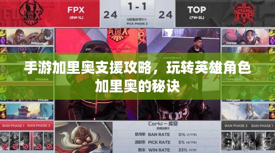 手游加里奥支援攻略,玩转英雄角色加里奥的秘诀 手游加里奥支援攻略,玩转英雄角色加里奥的秘诀