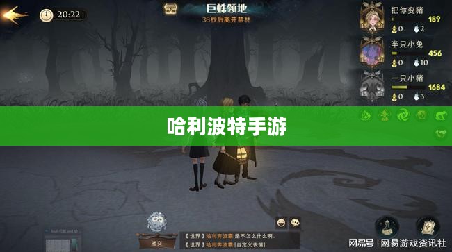 哈利波特手游，删号重玩的诱惑与挑战