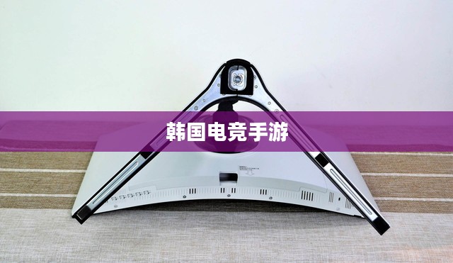 韩国电竞手游的魅力与热潮，游戏界的璀璨明星