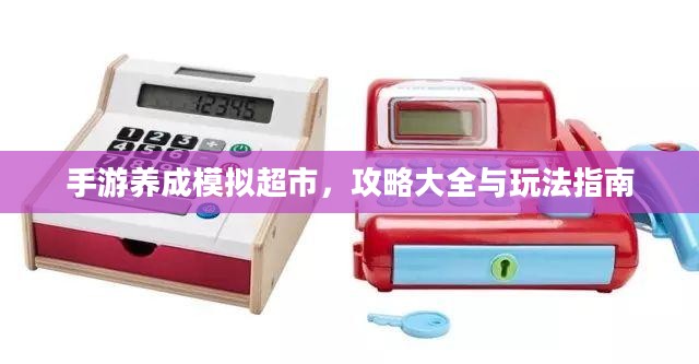 手游养成模拟超市，攻略大全与玩法指南