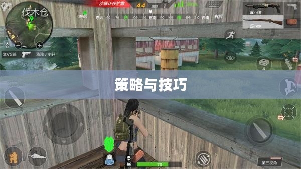 枪战对线手游攻略,策略与技巧详解 枪战对线手游攻略,策略与技巧详解