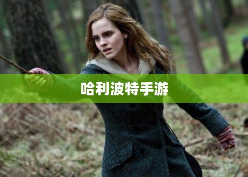 哈利波特手游,删号重玩的诱惑与挑战 哈利波特手游,删号重玩的诱惑与挑战