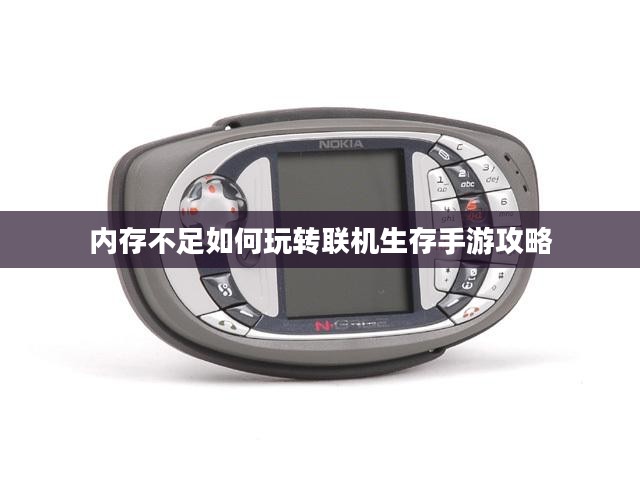 内存不足如何玩转联机生存手游攻略