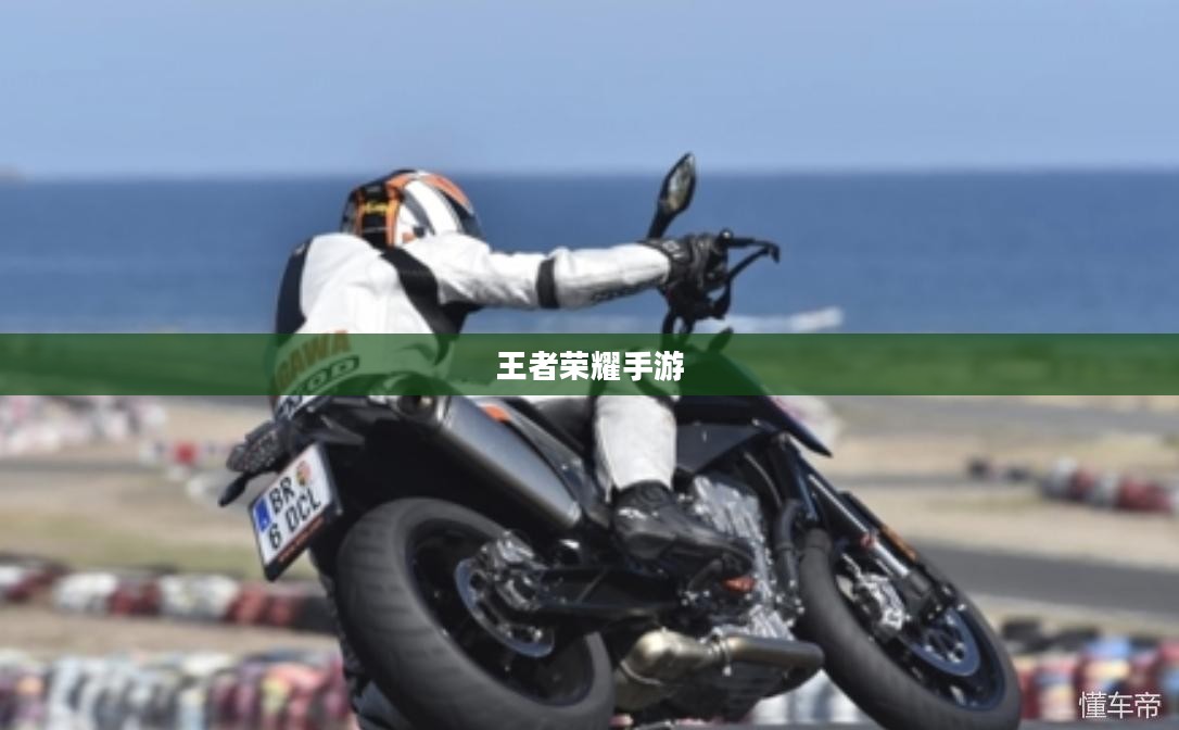 新手赛道攻略,玩转王者荣耀手游入门指南 新手赛道攻略,玩转王者荣耀手游入门指南