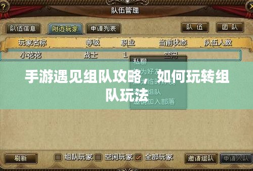 手游遇见组队攻略，如何玩转组队玩法