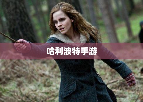 哈利波特手游，删号重玩的诱惑与挑战