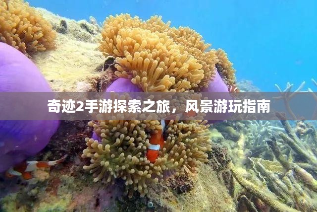 奇迹2手游探索之旅，风景游玩指南