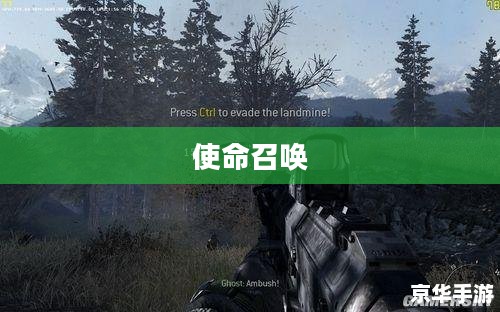 玩转使命召唤，战网手游攻略秘籍全解析