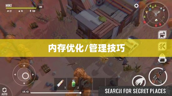 内存不足如何玩转联机生存手游攻略