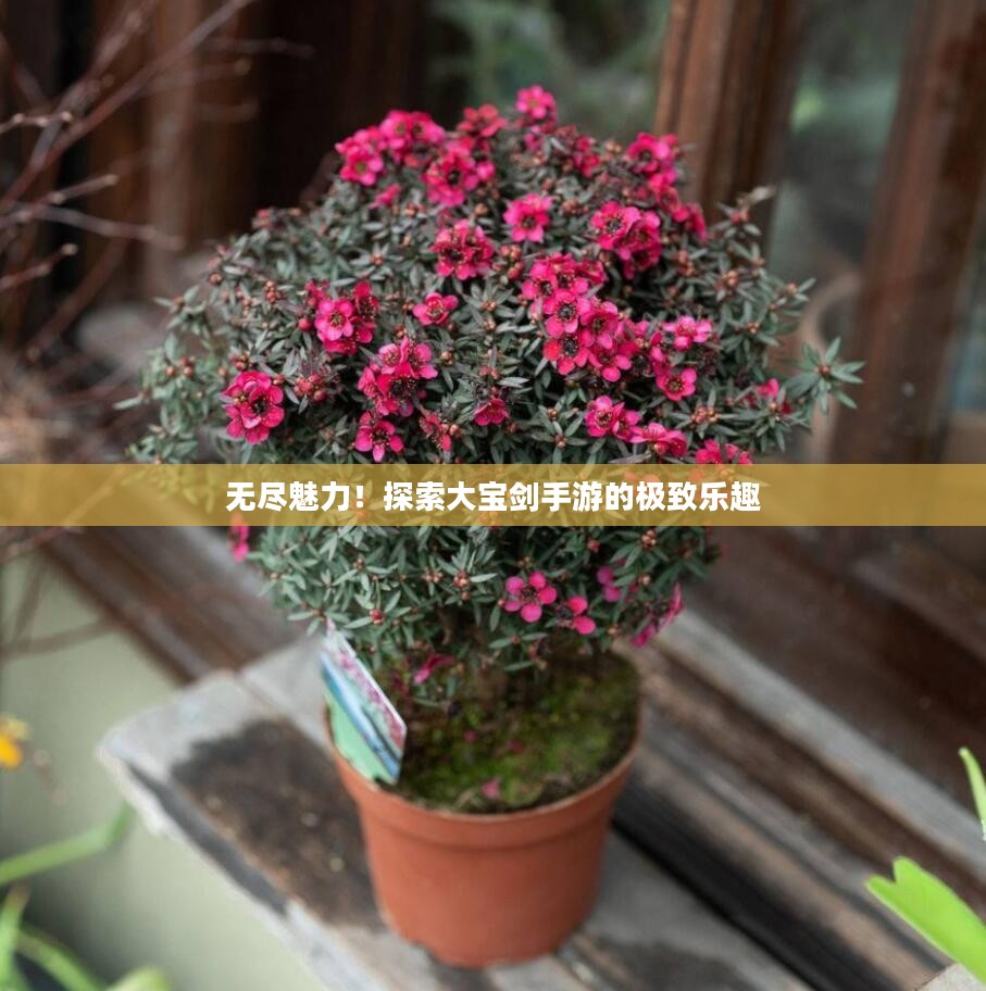无尽魅力!探索大宝剑手游的极致乐趣 无尽魅力!探索大宝剑手游的极致乐趣