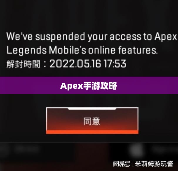 Apex手游攻略,安全畅玩指南,避免封号风险 Apex手游攻略,安全畅玩指南,避免封号风险