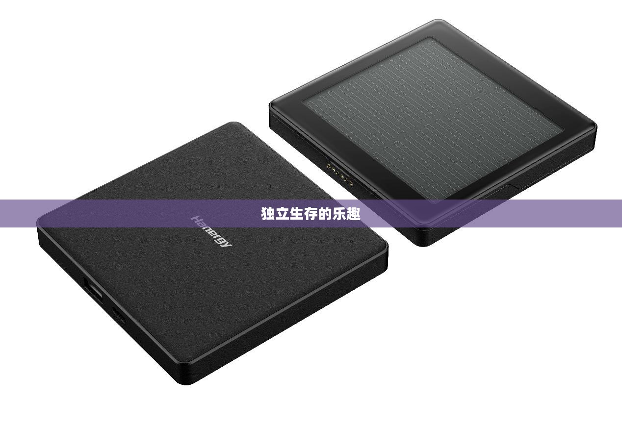 离线生存手游,独立生存的乐趣,无需网络也能畅享生存冒险的乐趣 离线生存手游,独立生存的乐趣,无需网络也能畅享生存冒险的乐趣