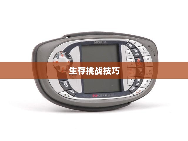 内存少联机生存手游攻略,玩转生存挑战 内存少联机生存手游攻略,玩转生存挑战
