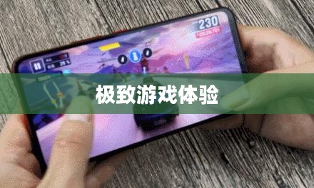 手游传奇，探索最佳游戏场所，畅享极致游戏体验