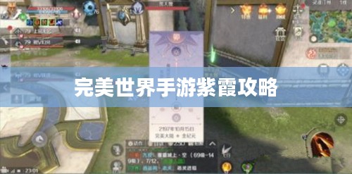 完美世界手游紫霞攻略，玩转紫霞角色指南