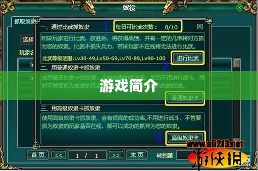 游戏简介概览 游戏简介概览