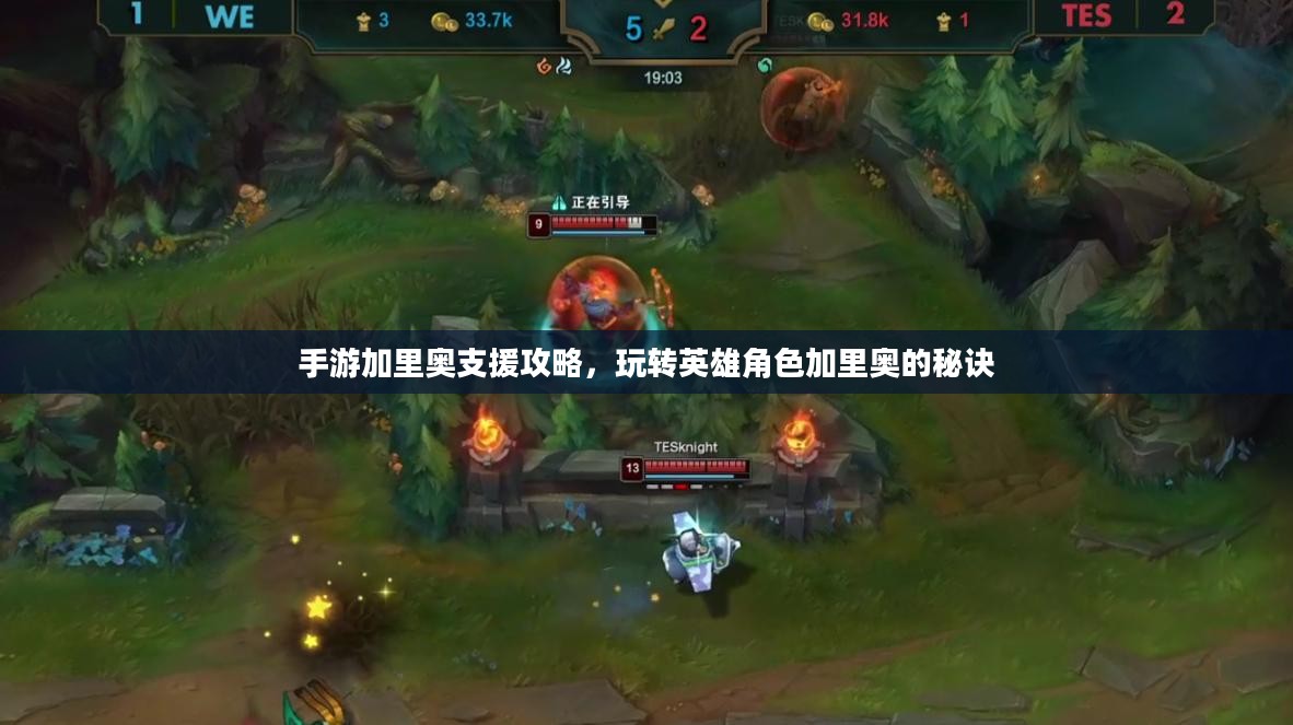 手游加里奥支援攻略，玩转英雄角色加里奥的秘诀