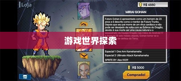 亿万富翁的游戏世界探索与体验之旅