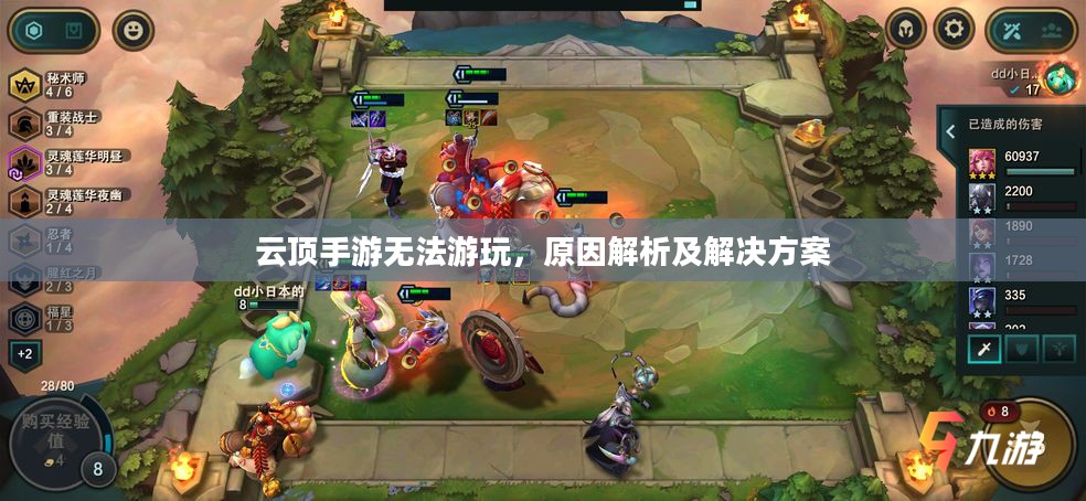云顶手游无法游玩，原因解析及解决方案
