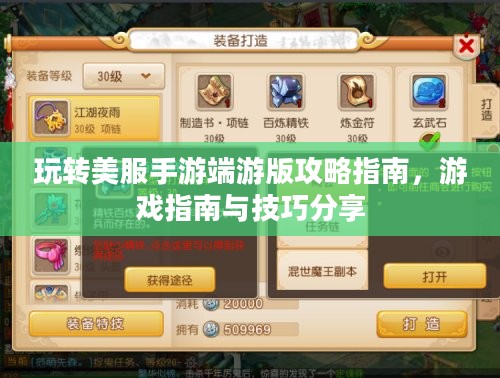 玩转美服手游端游版攻略指南，游戏指南与技巧分享