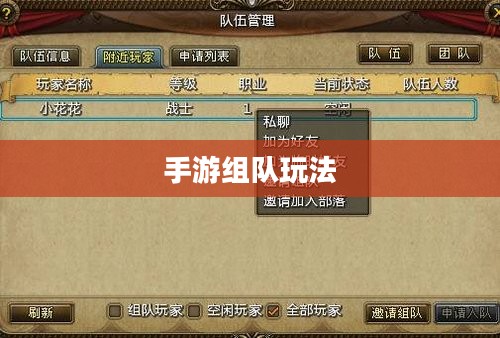 手游遇见组队玩法入门指南与策略分享 手游遇见组队玩法入门指南与策略分享