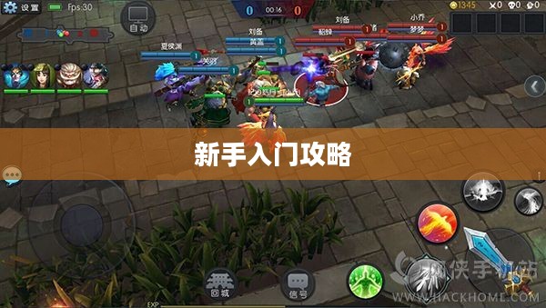 手机大乱斗手游新手入门指南，玩转游戏攻略