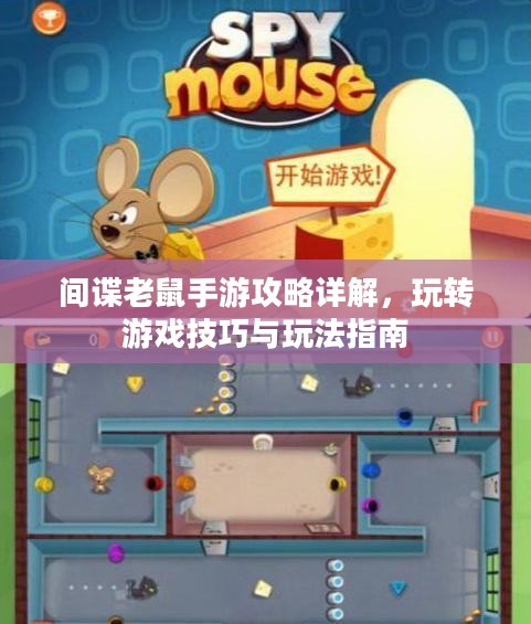 间谍老鼠手游攻略详解,玩转游戏技巧与玩法指南 间谍老鼠手游攻略详解,玩转游戏技巧与玩法指南
