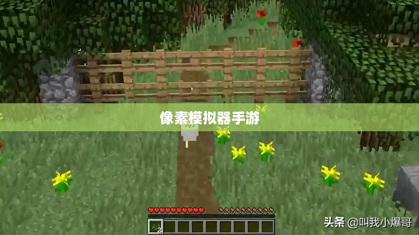 像素模拟器手游,深度游戏玩法探索 像素模拟器手游,深度游戏玩法探索