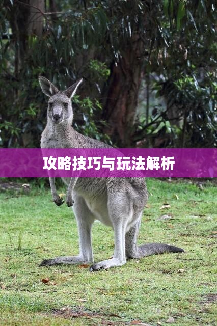 间谍老鼠手游攻略指南,玩转游戏技巧与玩法解析! 间谍老鼠手游攻略指南,玩转游戏技巧与玩法解析!