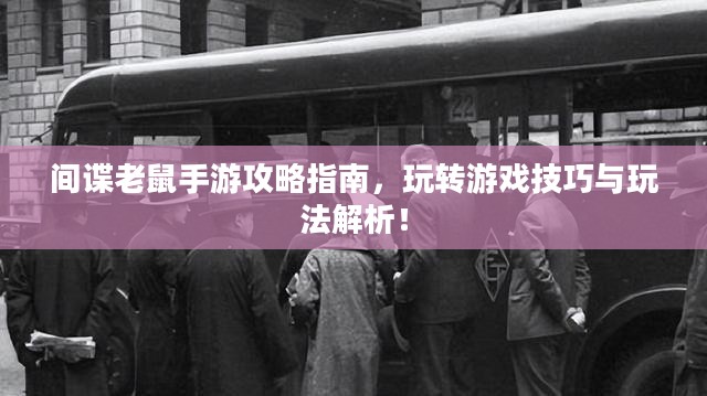 间谍老鼠手游攻略指南，玩转游戏技巧与玩法解析！