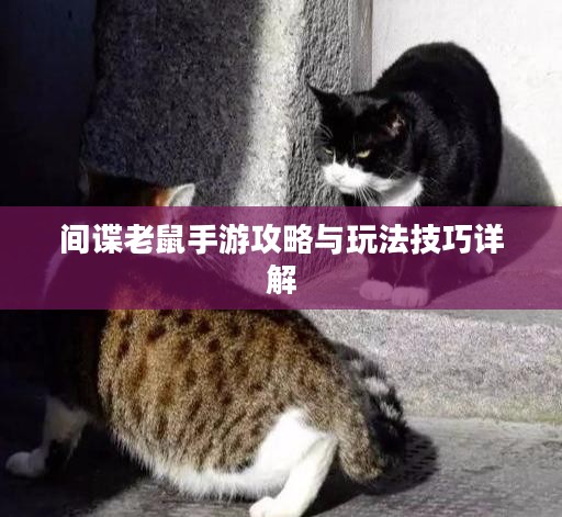 间谍老鼠手游攻略与玩法技巧详解 间谍老鼠手游攻略与玩法技巧详解