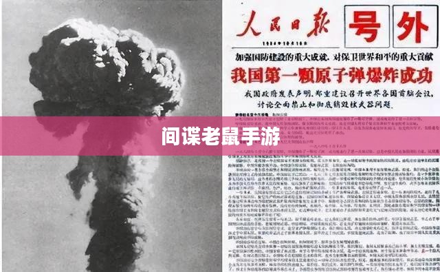 间谍老鼠手游攻略与玩法技巧详解