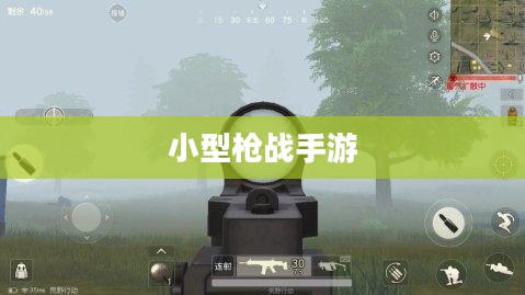 小型枪战手游,射击与策略的乐趣体验 小型枪战手游,射击与策略的乐趣体验