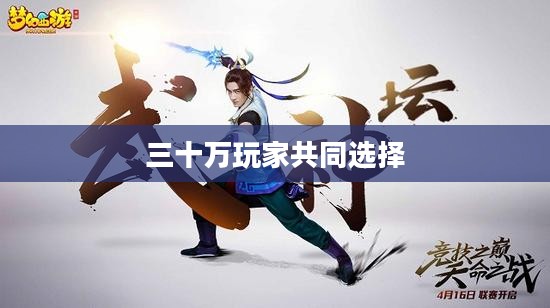 热门手游的魅力探索,三十万玩家的共同选择 热门手游的魅力探索,三十万玩家的共同选择