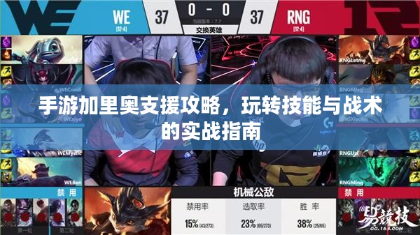 手游加里奥支援攻略，玩转技能与战术的实战指南