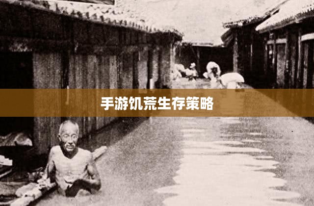手游饥荒，生存之道与提示卡的策略智慧