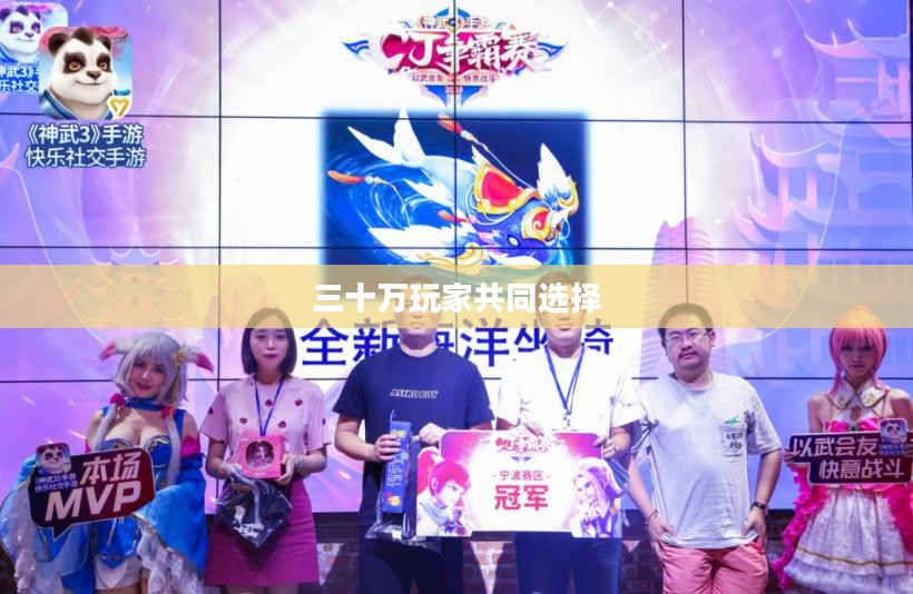 热门手游的魅力探索,三十万玩家的共同选择 热门手游的魅力探索,三十万玩家的共同选择