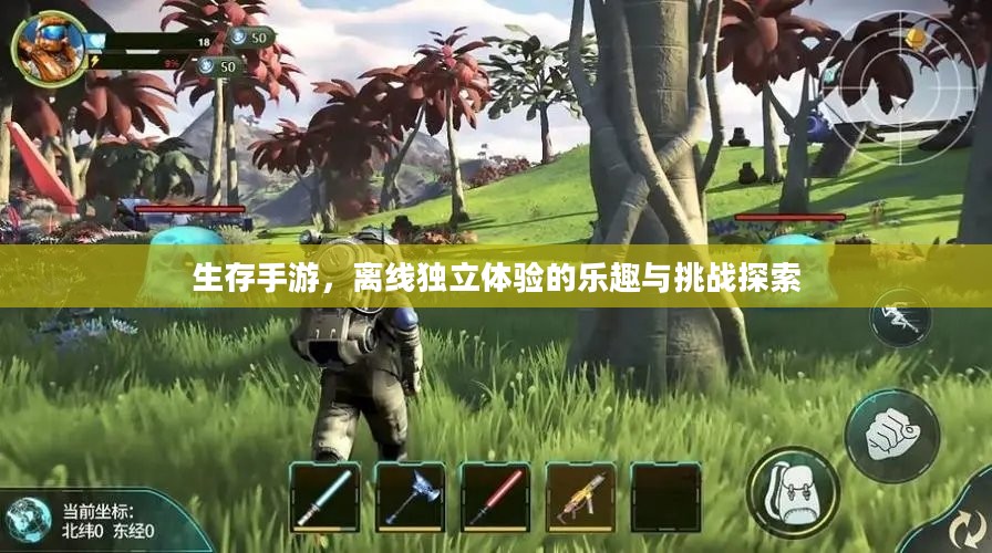 生存手游，离线独立体验的乐趣与挑战探索