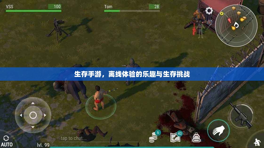 生存手游，离线体验的乐趣与生存挑战