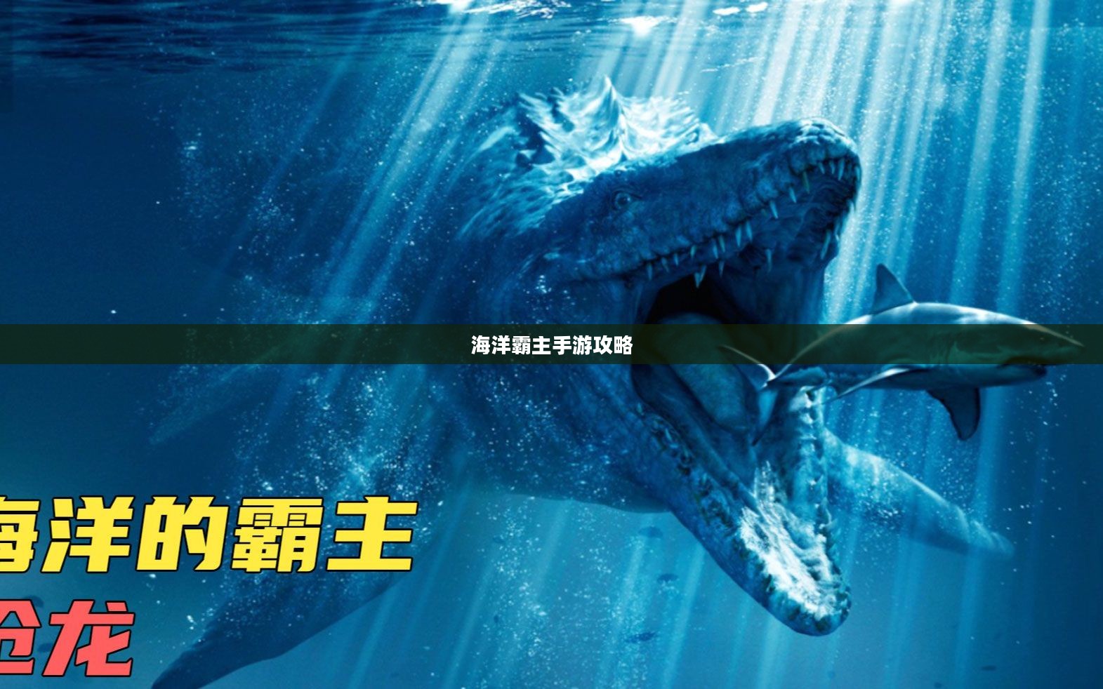 手游联盟海洋亚龙攻略，玩转海洋霸主游戏体验之旅