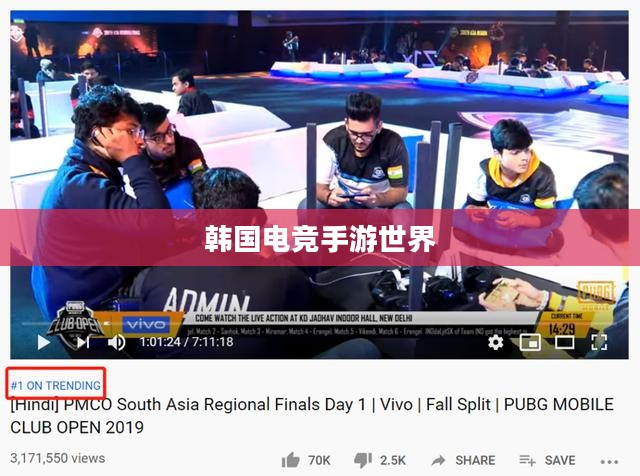 韩国电竞手游世界，热门与潮流的探索