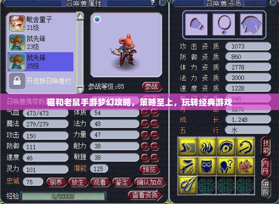 猫和老鼠手游梦幻攻略，策略至上，玩转经典游戏