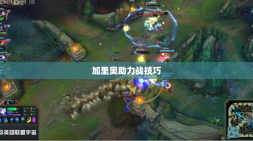 手游加里奥支援攻略,玩转英雄之道之加里奥助力战技巧 手游加里奥支援攻略,玩转英雄之道之加里奥助力战技巧